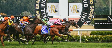 new zealand race results|RaceInfo .